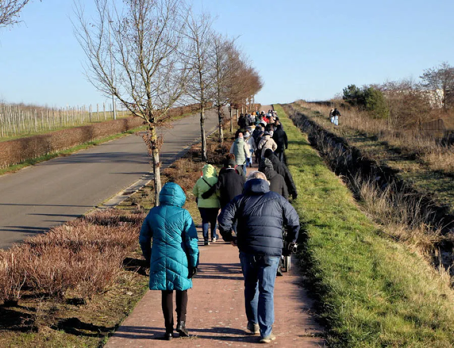 Kerstwandeling 2025, foto 13 van 44